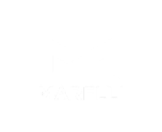 laser-marking-for-marelli Entreprise